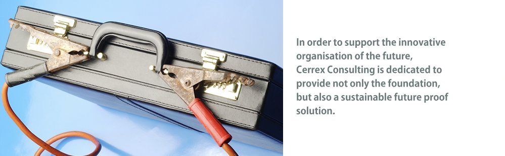Cerrex ERP